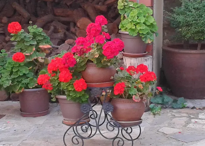 La Posada De ClotildeCasa Rural